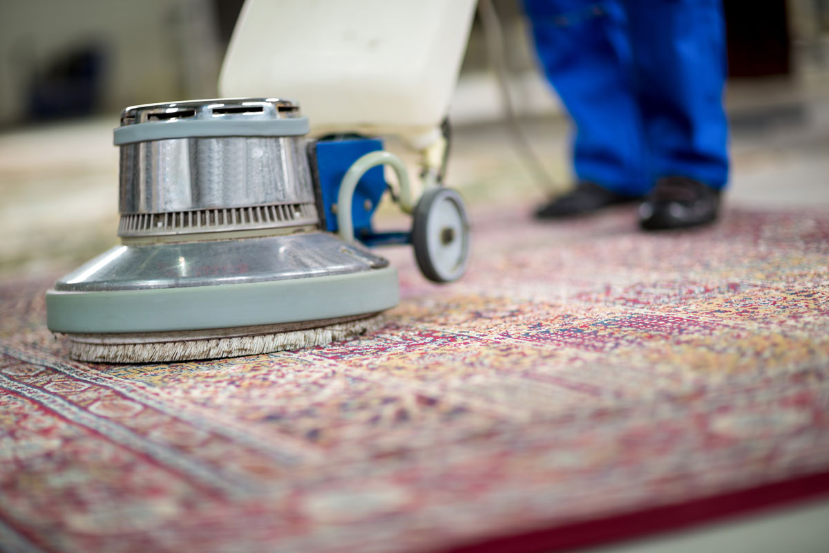 area rug cleaning