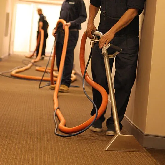 hallway carpet cleaners