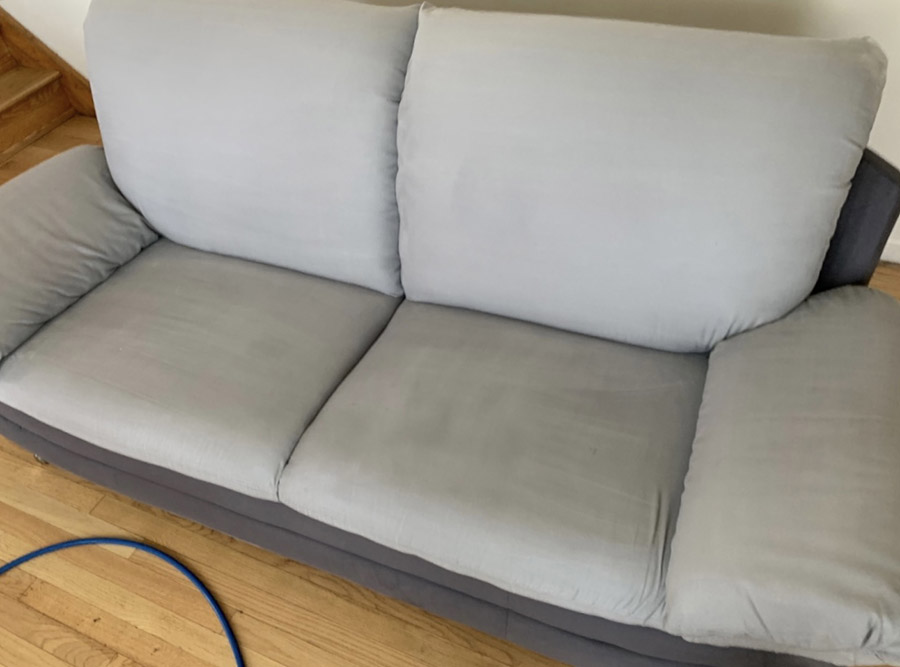 Couch cleaning after