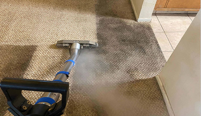 Carpet steam cleaning